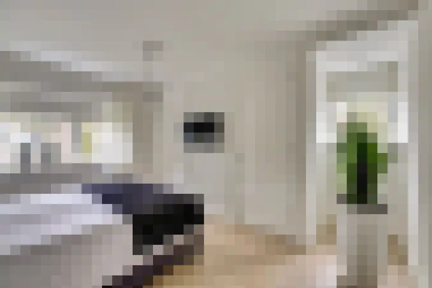 Máximalaan 3 Ermelo thumbnail 33