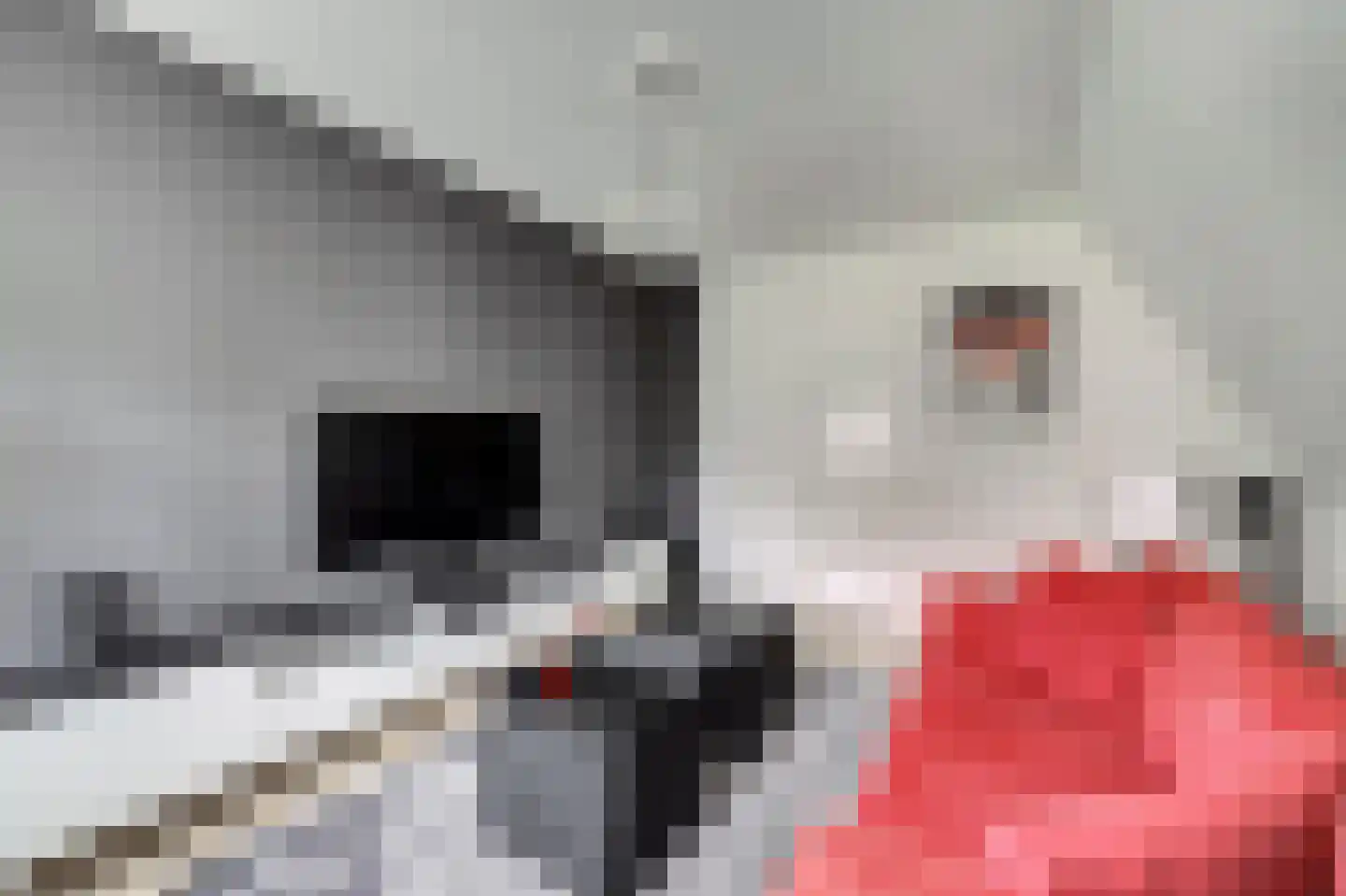 Máximalaan 3 Ermelo thumbnail 37