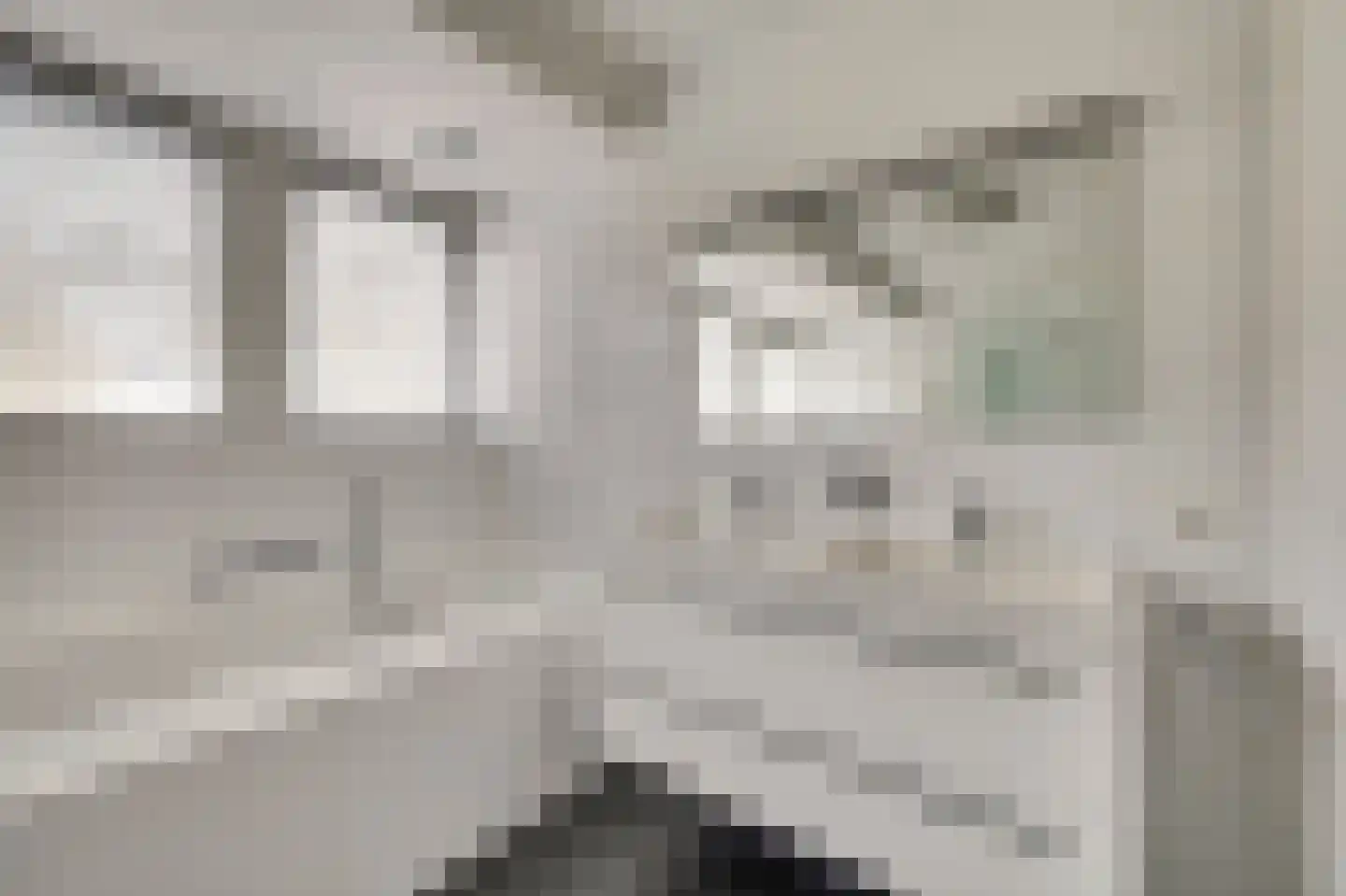 Máximalaan 3 Ermelo thumbnail 40