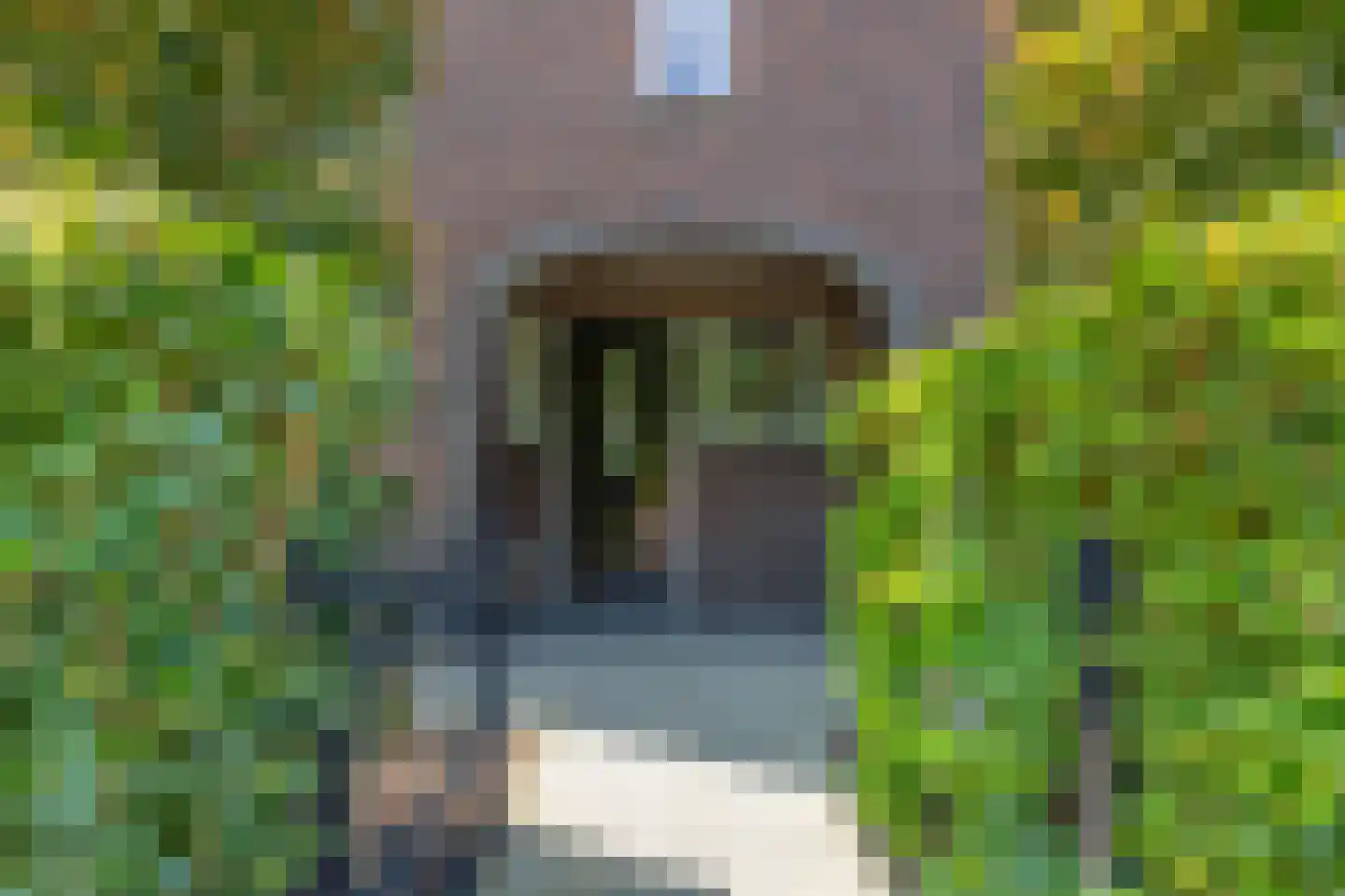 Máximalaan 3 Ermelo thumbnail 7