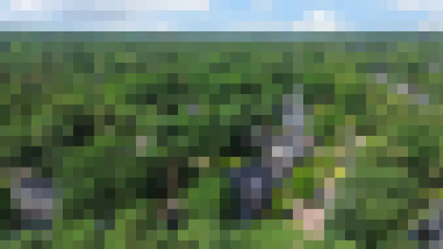 Máximalaan 3 Ermelo thumbnail 72