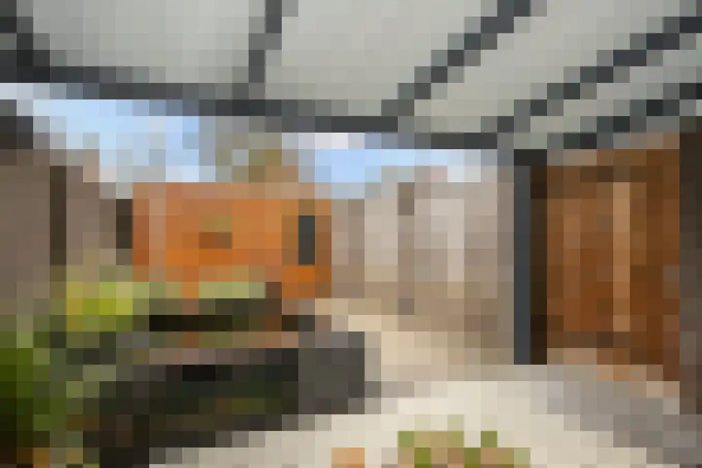 Maximalaan 4 Bladel thumbnail 25