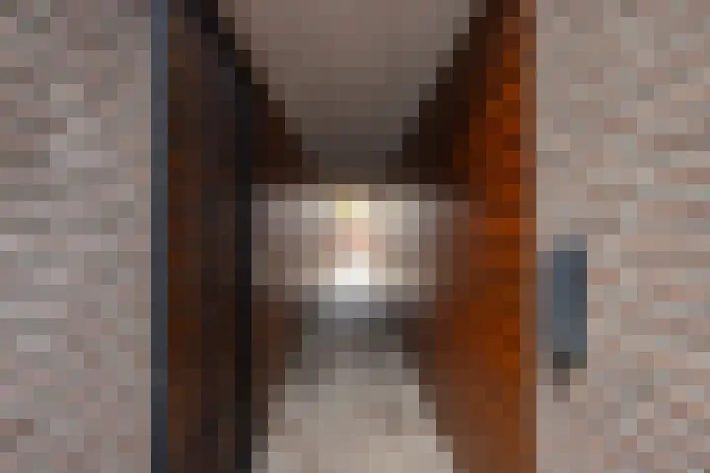 Maximalaan 4 Bladel thumbnail 29