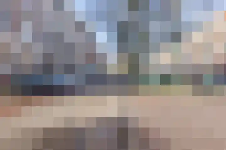 Maximalaan 4 Bladel thumbnail 7