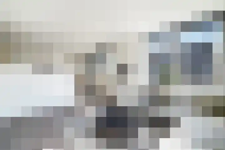 Máximalaan 48 Sassenheim thumbnail 12