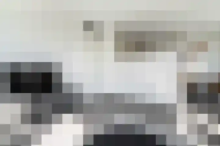 Máximalaan 48 Sassenheim thumbnail 14