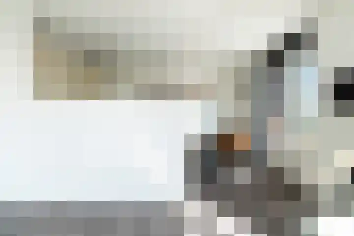 Máximalaan 48 Sassenheim thumbnail 15