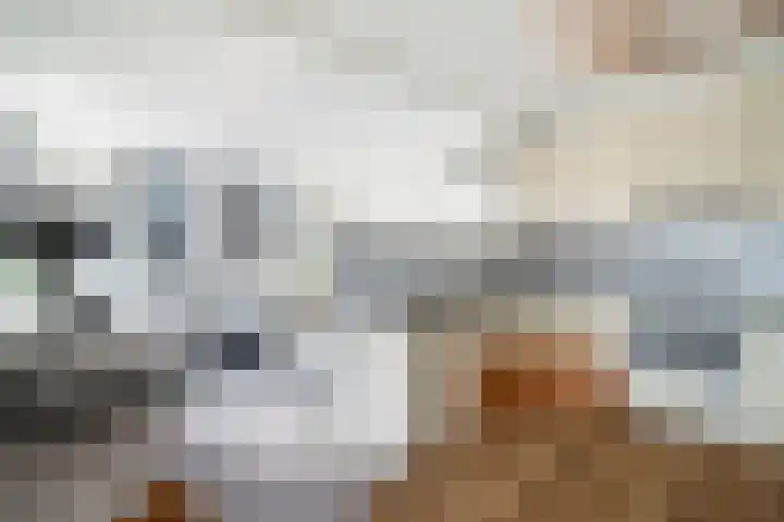 Máximalaan 48 Sassenheim thumbnail 16