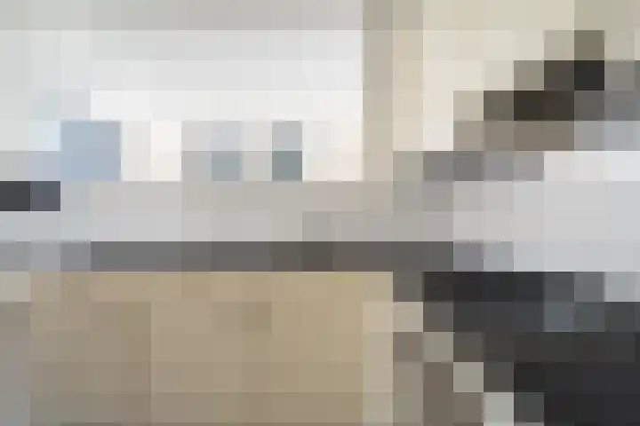 Máximalaan 48 Sassenheim thumbnail 19