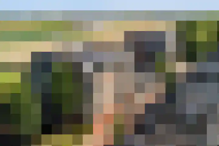 Máximalaan 48 Sassenheim thumbnail 33