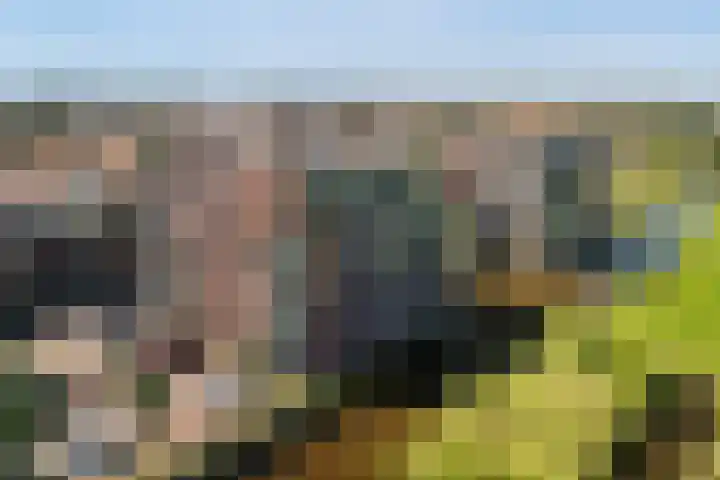 Máximalaan 48 Sassenheim thumbnail 35