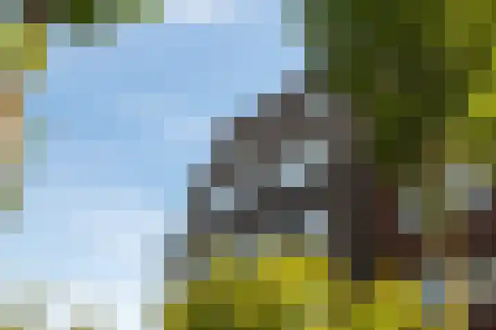 Máximalaan 48 Sassenheim thumbnail 36