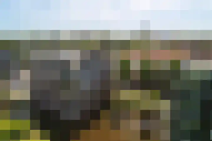 Máximalaan 48 Sassenheim thumbnail 37