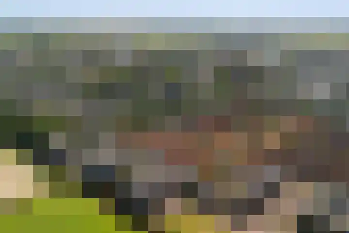 Máximalaan 48 Sassenheim thumbnail 38