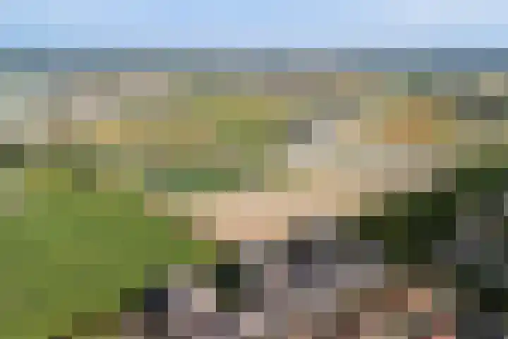 Máximalaan 48 Sassenheim thumbnail 39
