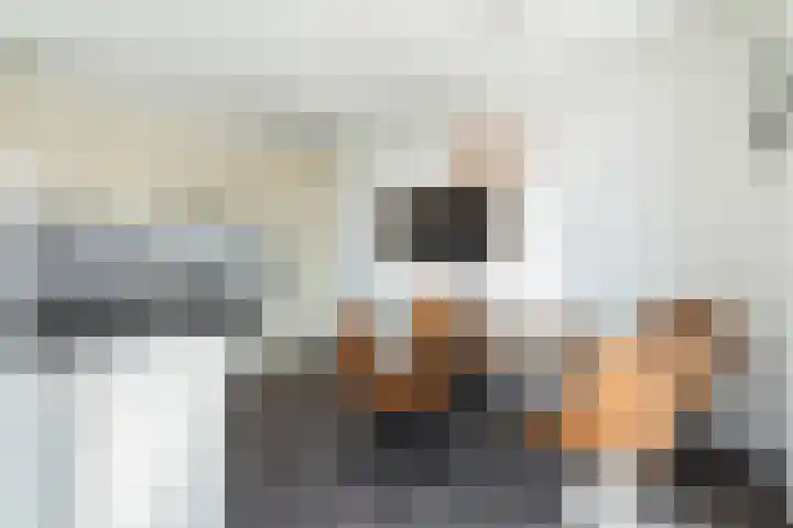 Máximalaan 48 Sassenheim thumbnail 4