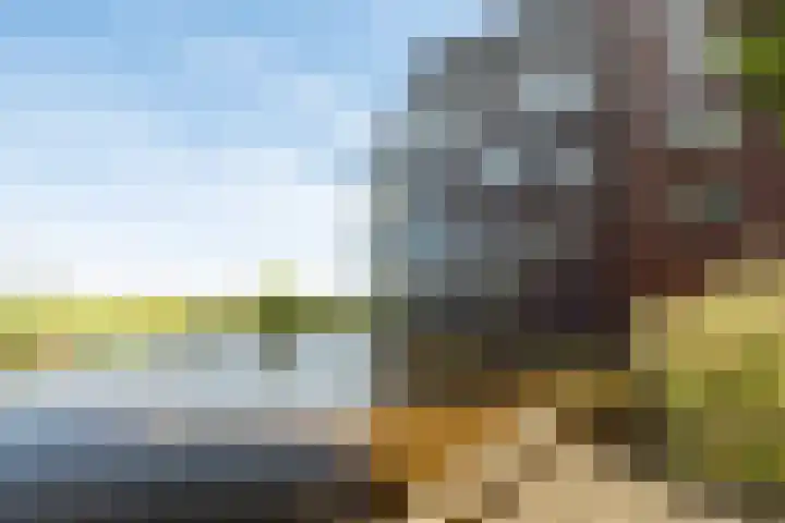 Máximalaan 48 Sassenheim thumbnail 41