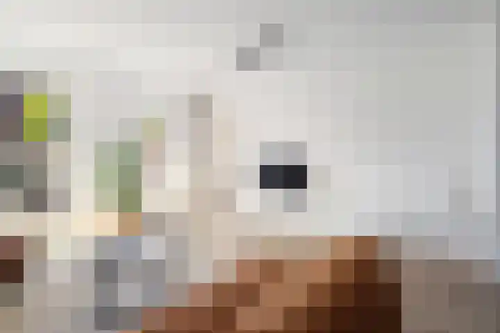 Maximalaan 54 Oud Gastel thumbnail 18