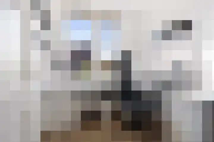 Maximalaan 54 Oud Gastel thumbnail 36