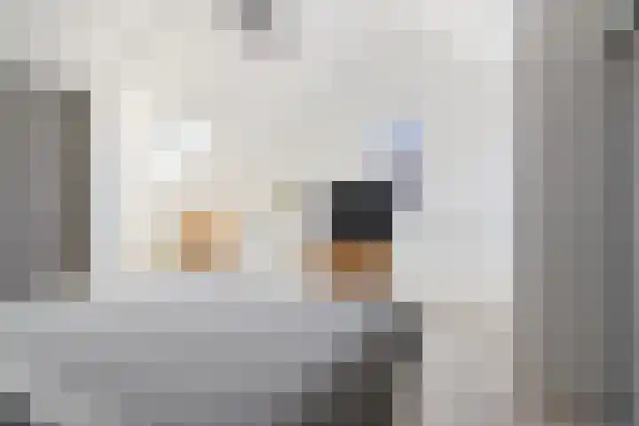 Maximalaan 54 Oud Gastel thumbnail 40