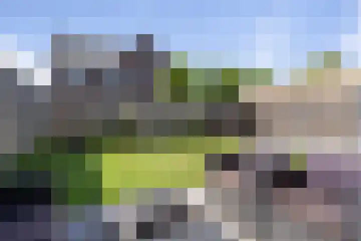 Maximalaan 54 Oud Gastel thumbnail 7