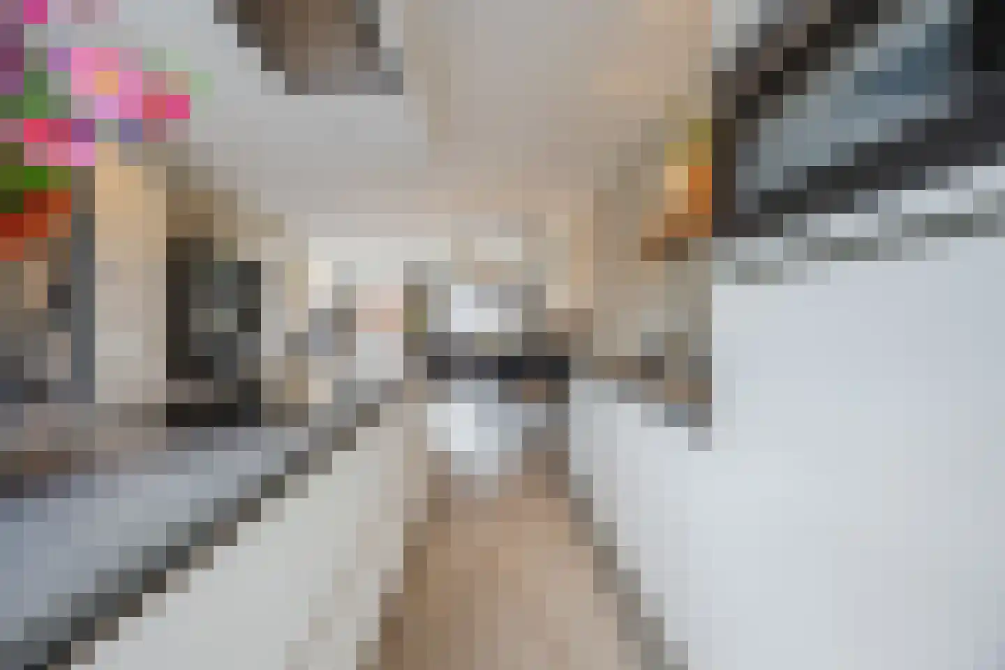 Maximalaan 56 Oud Gastel thumbnail 23