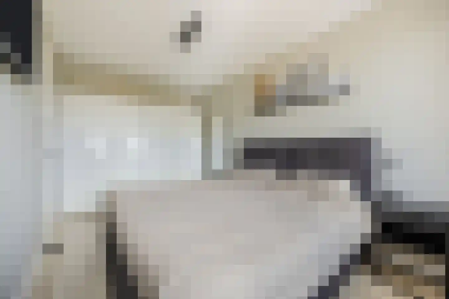 Maximalaan 56 Oud Gastel thumbnail 31