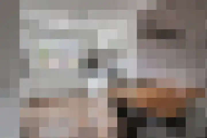 Maximalaan 74 Oud Gastel thumbnail 17
