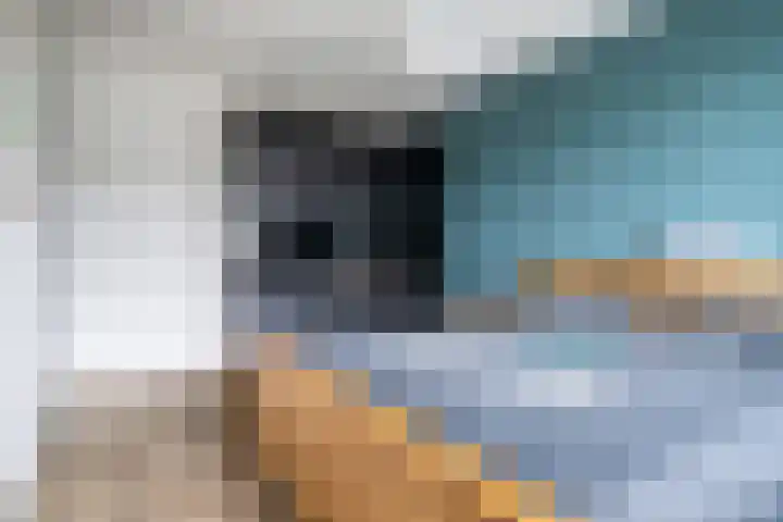 Maximalaan 74 Oud Gastel thumbnail 20