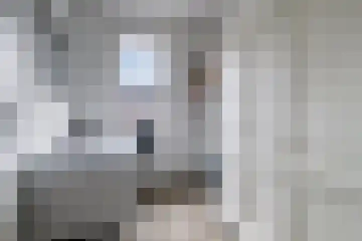 Maximalaan 74 Oud Gastel thumbnail 23