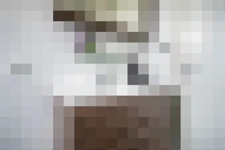 Maximalaan 74 Oud Gastel thumbnail 25