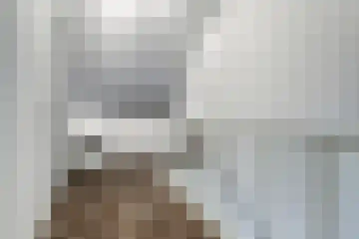 Maximalaan 74 Oud Gastel thumbnail 27