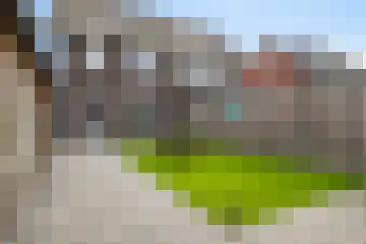 Maximalaan 74 Oud Gastel thumbnail 31