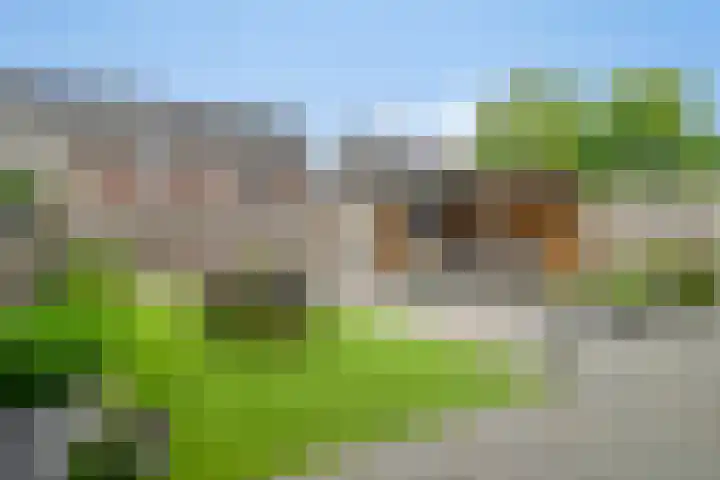Maximalaan 74 Oud Gastel thumbnail 32