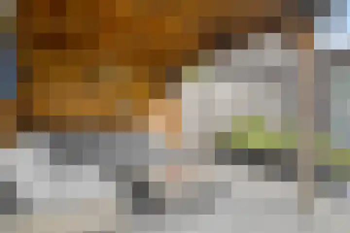 Maximalaan 74 Oud Gastel thumbnail 34