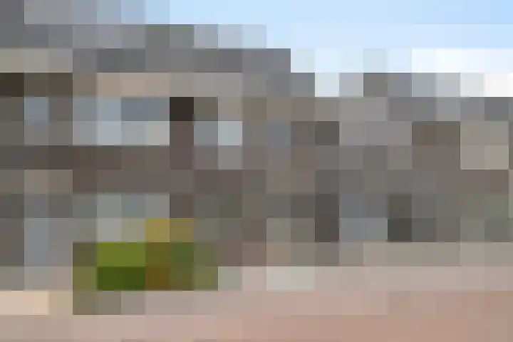 Maximalaan 74 Oud Gastel thumbnail 39