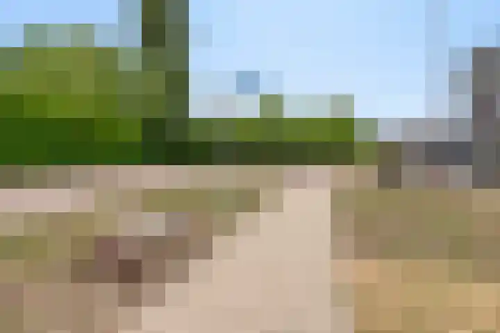 Maximalaan 74 Oud Gastel thumbnail 43
