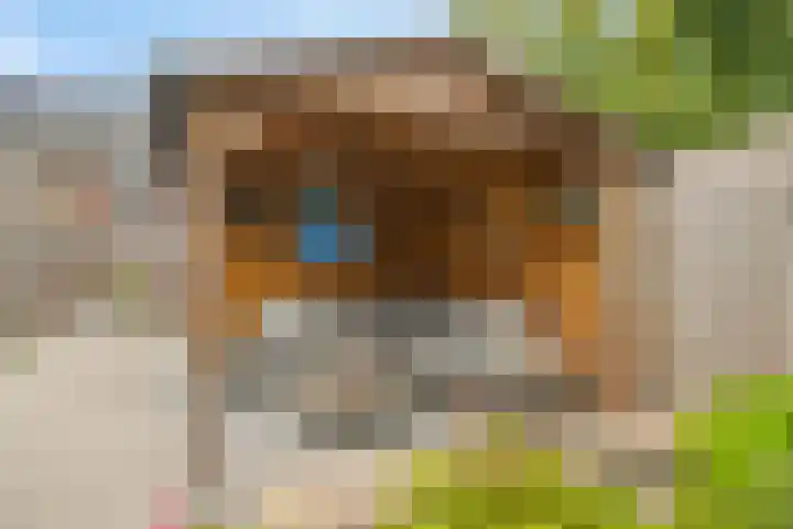 Maximalaan 74 Oud Gastel thumbnail 44