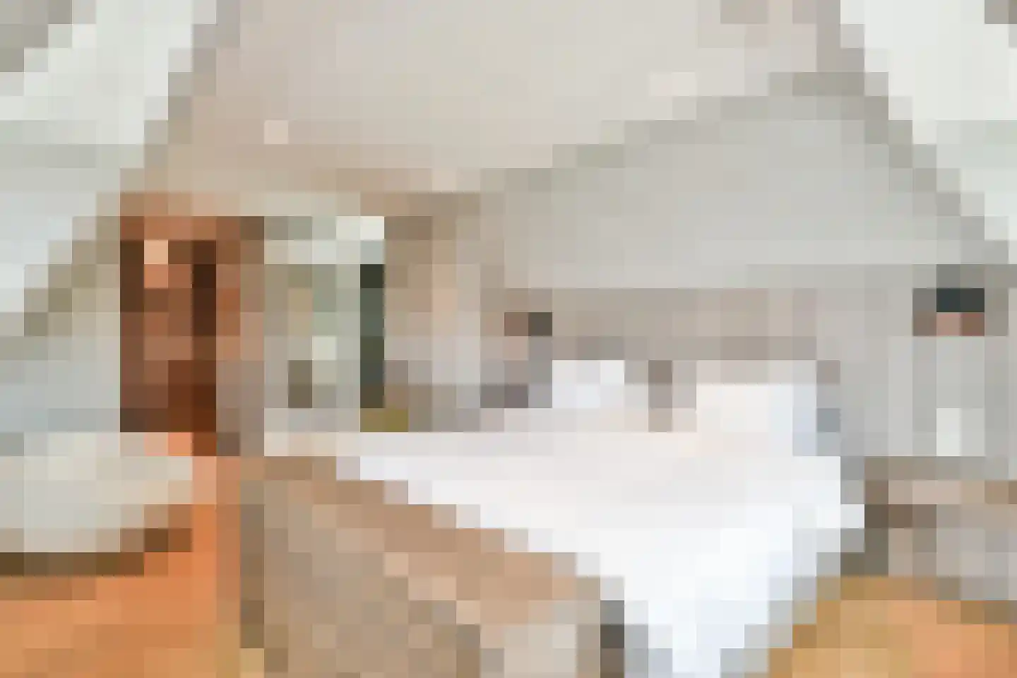 Máximalaan 9 Vinkeveen thumbnail 26