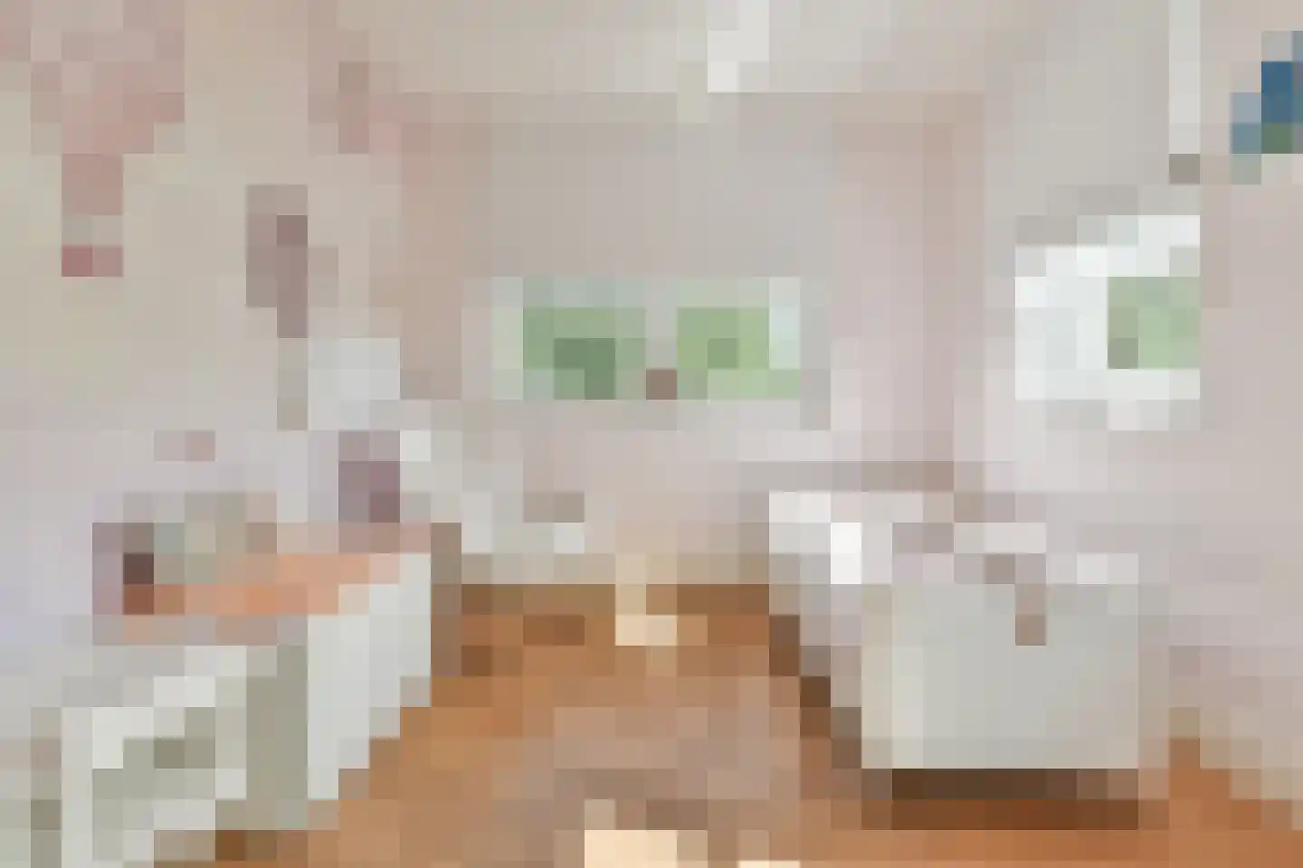 Máximalaan 9 Vinkeveen thumbnail 33