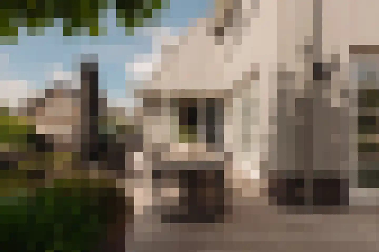 Máximalaan 9 Vinkeveen thumbnail 48