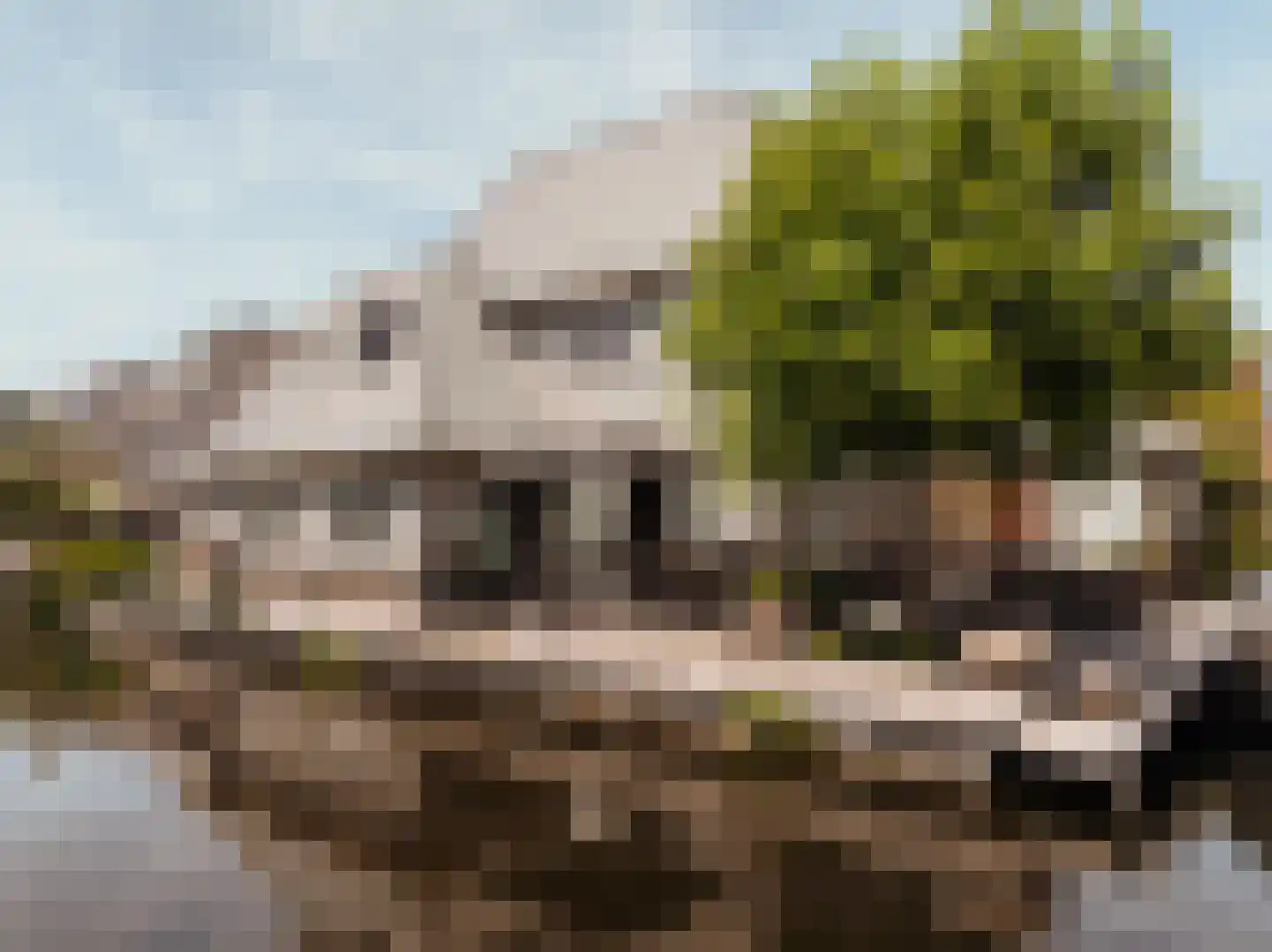 Máximalaan 9 Vinkeveen thumbnail 50