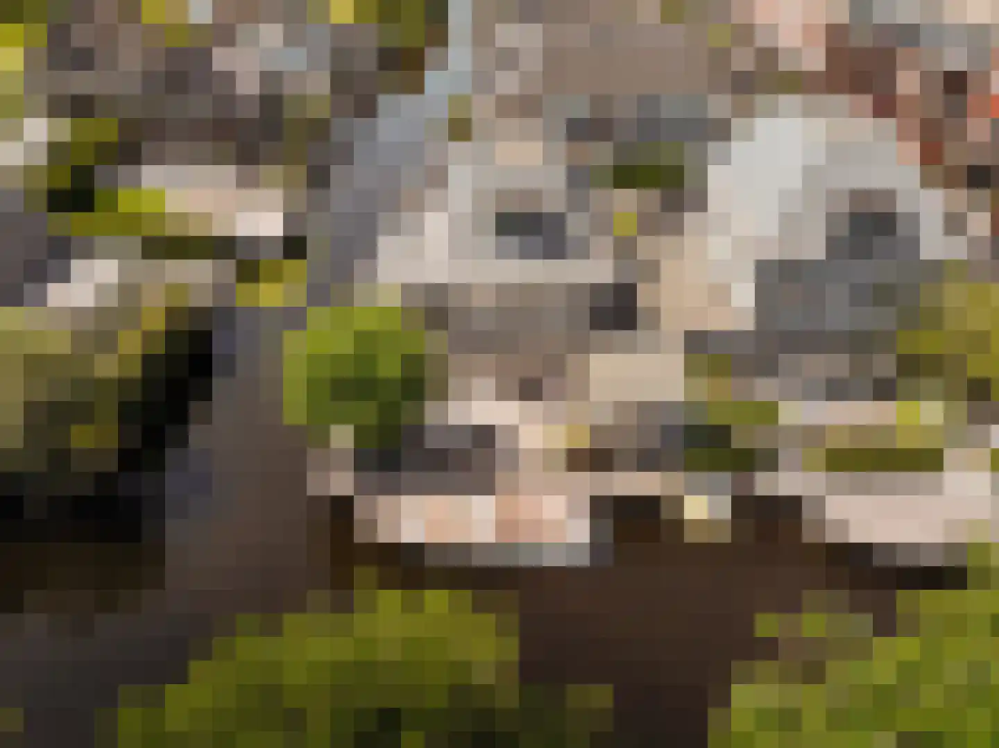 Máximalaan 9 Vinkeveen thumbnail 52