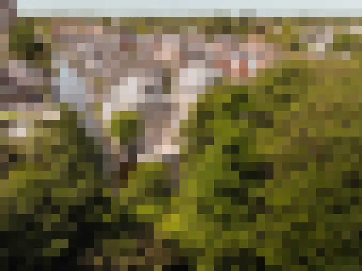 Máximalaan 9 Vinkeveen thumbnail 53