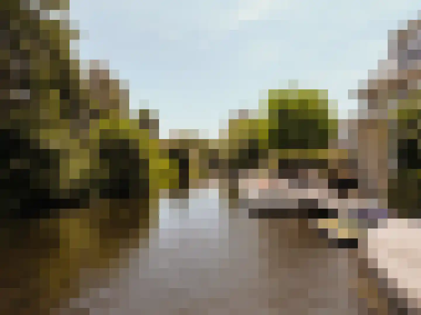 Máximalaan 9 Vinkeveen thumbnail 58