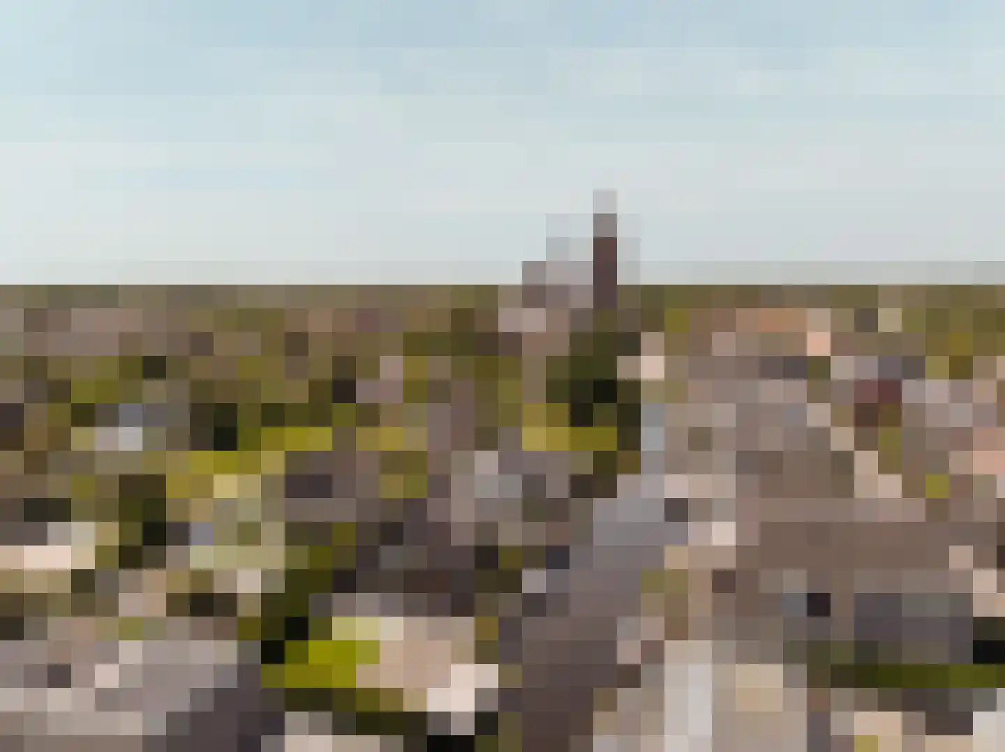 Máximalaan 9 Vinkeveen thumbnail 60