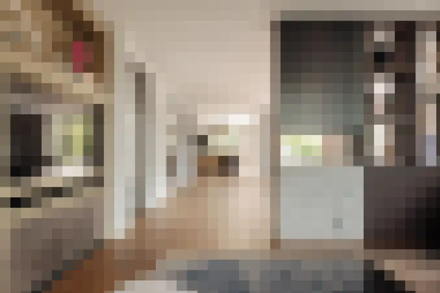 Máximalaan 9 Vinkeveen thumbnail 8