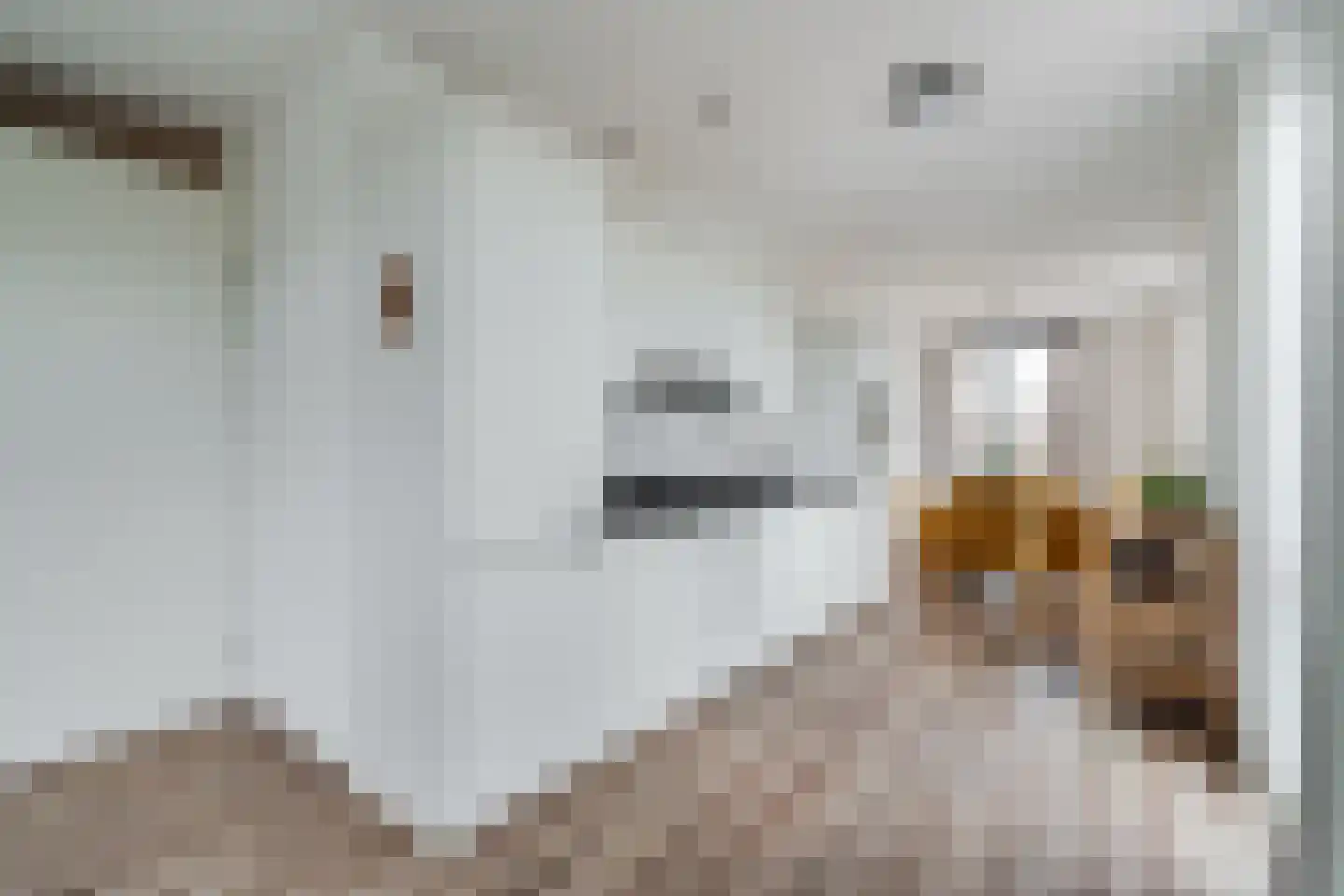 Maximaplein 38 Leusden thumbnail 12