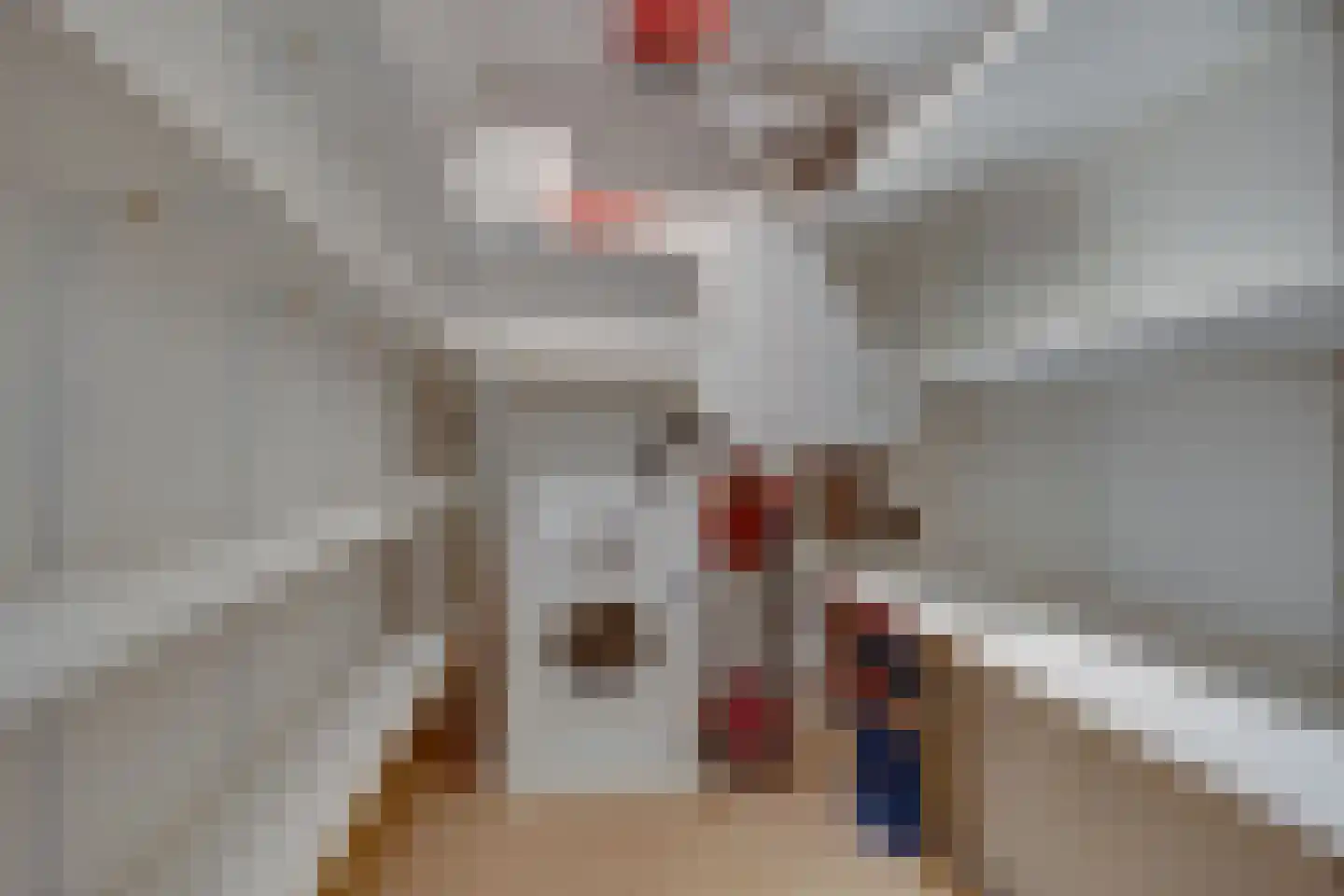 Maximaplein 6 Leusden thumbnail 16