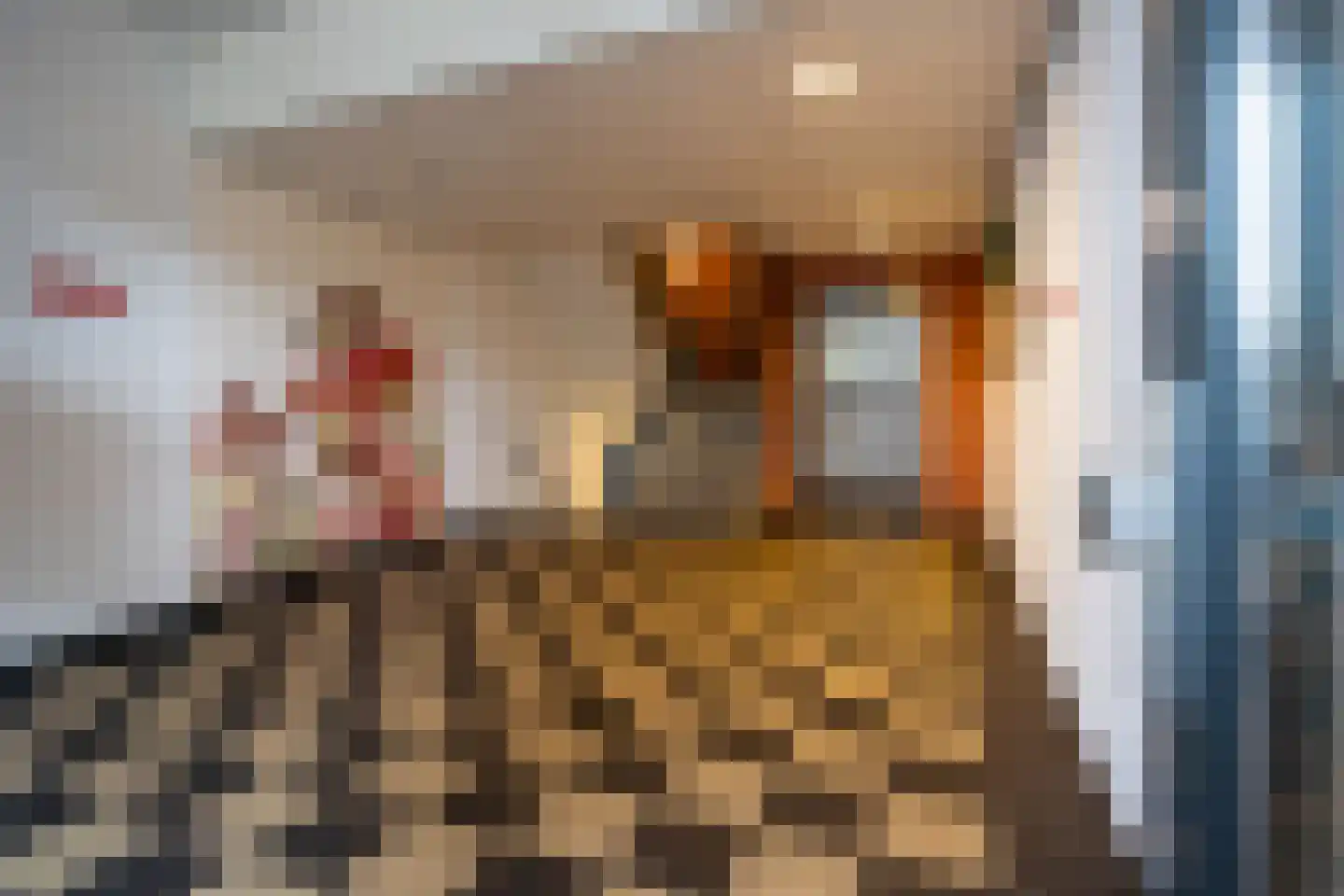 Maximaplein 6 Leusden thumbnail 22